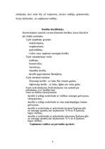 Referāts 'Biznesa plāns', 9.