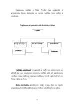 Referāts 'Biznesa plāns', 10.