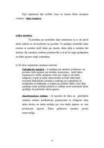 Referāts 'Biznesa plāns', 13.