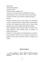 Referāts 'Biznesa plāns', 18.