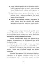 Referāts 'Biznesa plāns', 19.