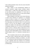 Referāts 'Biznesa plāns', 20.