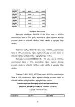 Referāts 'Biznesa plāns', 25.