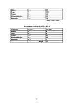 Referāts 'Biznesa plāns', 26.