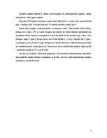 Referāts 'Upes hidroloģiskais raksturojums', 7.