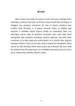 Referāts 'Datoru korpusi', 4.