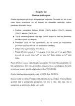 Referāts 'Datoru korpusi', 5.