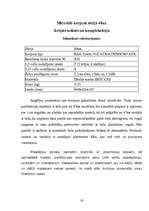 Referāts 'Datoru korpusi', 19.