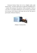 Referāts 'Datoru korpusi', 23.