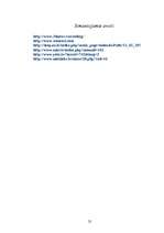 Referāts 'Datoru korpusi', 25.