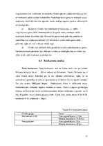 Biznesa plāns 'Fitnesa centrs', 13.