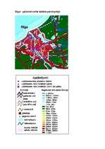 Referāts 'Vides piesārņojums', 3.