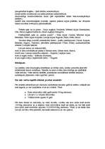 Referāts 'Vides piesārņojums', 8.