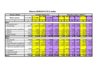 Biznesa plāns 'SIA "ZOC" finanšu analīze', 10.