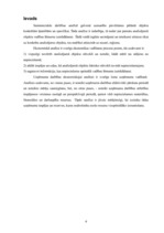 Biznesa plāns 'SIA "ZOC" finanšu analīze', 20.