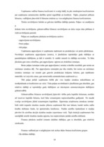 Biznesa plāns 'SIA "ZOC" finanšu analīze', 26.