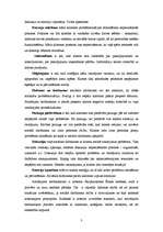 Referāts 'Sociālais darbs', 3.