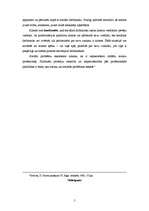 Referāts 'Sociālais darbs', 5.