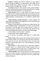 Konspekts 'Īsuma par tirgzinībām', 16.