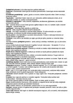 Konspekts 'Ģeogrāfijas jēdzieni', 1.