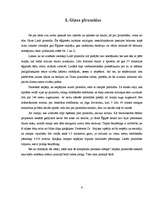 Referāts 'Piramīdas', 6.