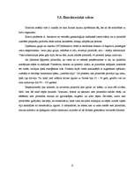 Referāts 'Piramīdas', 17.