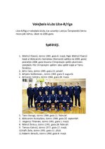 Referāts 'Volejbols', 4.