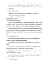 Referāts 'Darba organizācija, normēšana un samaksa', 13.