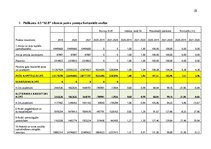 Prakses atskaite 'Finanšu rādītāju analīze 2019.-2021.gads', 28.