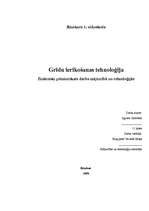 Referāts 'Grīdu ierīkošanas tehnoloģija', 1.