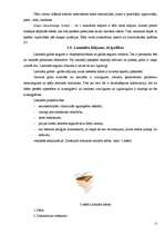 Referāts 'Grīdu ierīkošanas tehnoloģija', 12.