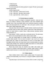 Referāts 'Grīdu ierīkošanas tehnoloģija', 13.