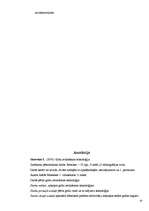 Referāts 'Grīdu ierīkošanas tehnoloģija', 19.