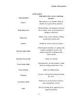 Prakses atskaite 'Mārketinga prakse', 9.