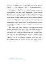 Prakses atskaite 'Mārketinga prakse', 19.