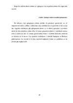 Prakses atskaite 'Mārketinga prakse', 20.