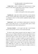 Prakses atskaite 'Mārketinga prakse', 28.