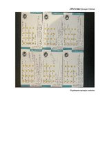 Prakses atskaite 'Mārketinga prakse', 40.