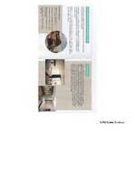 Prakses atskaite 'Mārketinga prakse', 51.