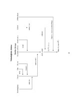 Prakses atskaite 'Pavāra prakse viesnīcā "Reval Hotel Rīdzene"', 26.