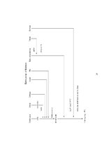 Prakses atskaite 'Pavāra prakse viesnīcā "Reval Hotel Rīdzene"', 27.