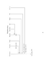 Prakses atskaite 'Pavāra prakse viesnīcā "Reval Hotel Rīdzene"', 28.