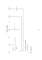 Prakses atskaite 'Pavāra prakse viesnīcā "Reval Hotel Rīdzene"', 29.