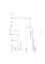 Prakses atskaite 'Pavāra prakse viesnīcā "Reval Hotel Rīdzene"', 30.