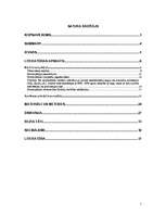 Diplomdarbs 'Homeopātija', 2.