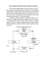 Diplomdarbs 'Homeopātija', 17.