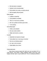 Referāts 'Indigo fenomens', 13.