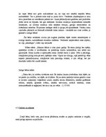 Referāts 'Indigo fenomens', 15.