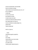 Referāts 'Indigo fenomens', 16.