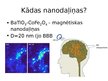 Prezentācija 'Dziļā smadzeņu stimulācija, izmantojot dzelzs oksīda nanodaļiņas', 7.